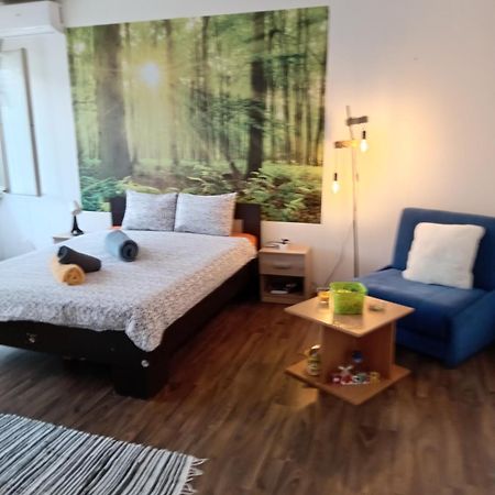 Car Lazar Apartment Belgrad Exterior foto